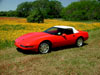 Our Vette in front of a field of wildflowers